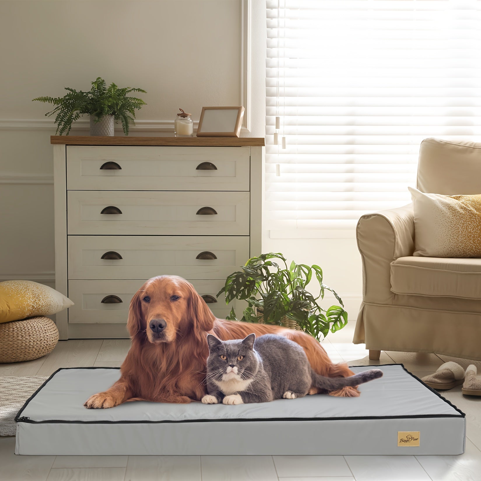 myfurryfriends.de