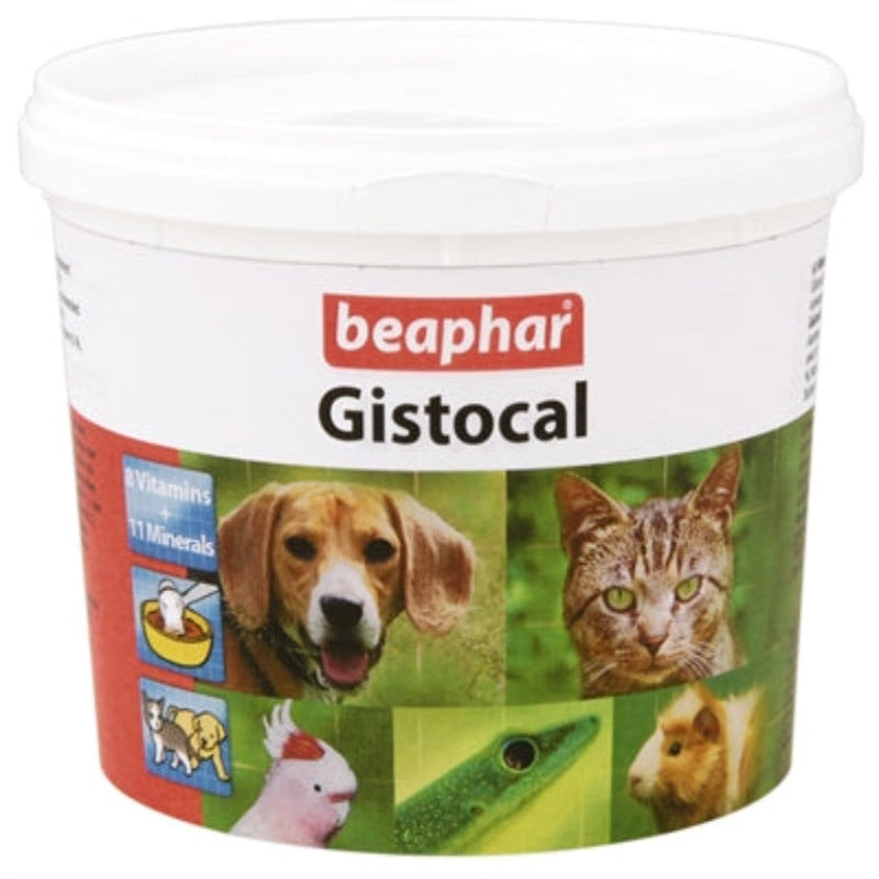 Beapharer Hefepilz