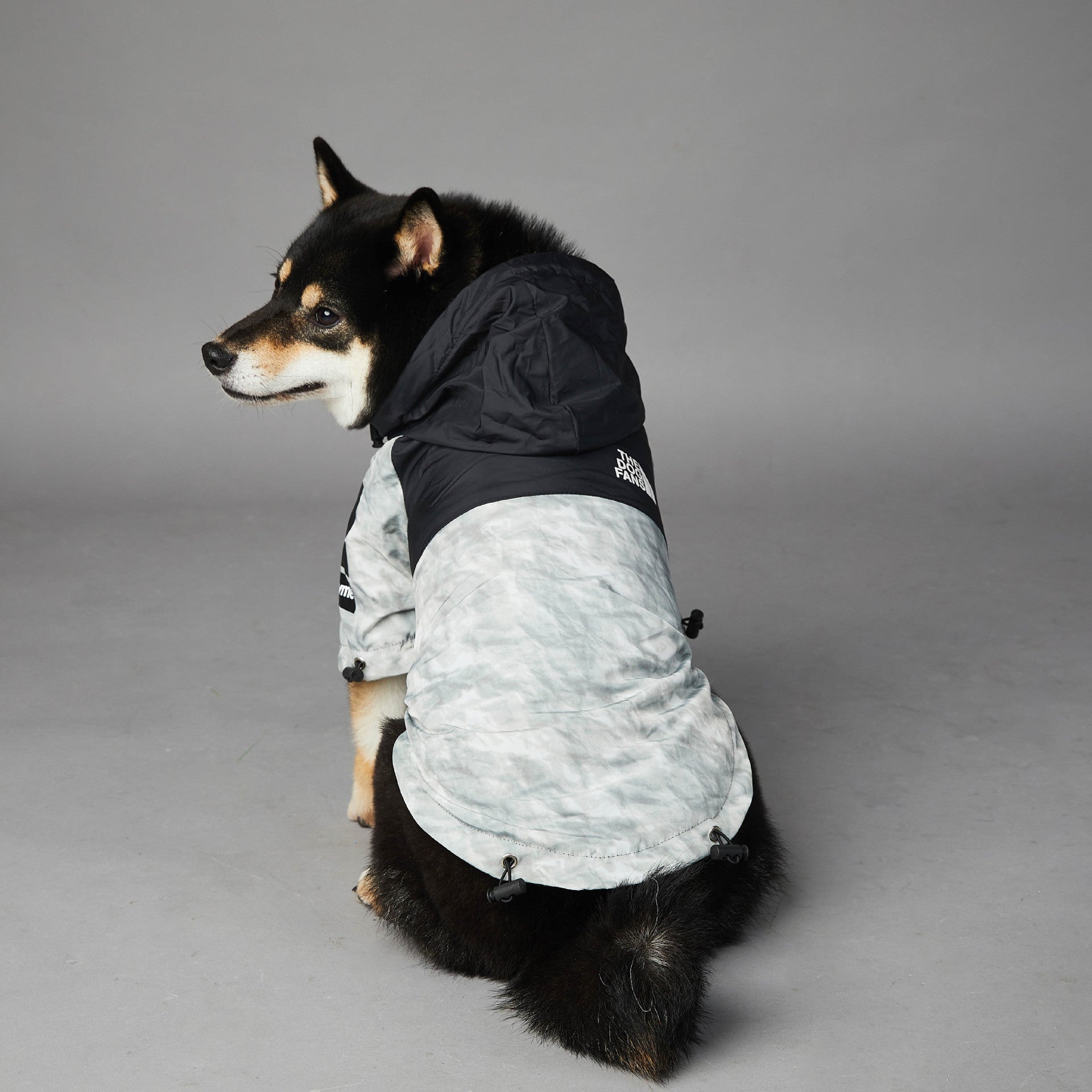The Dog Fans Regenjacke in Vintage-Papier-Print