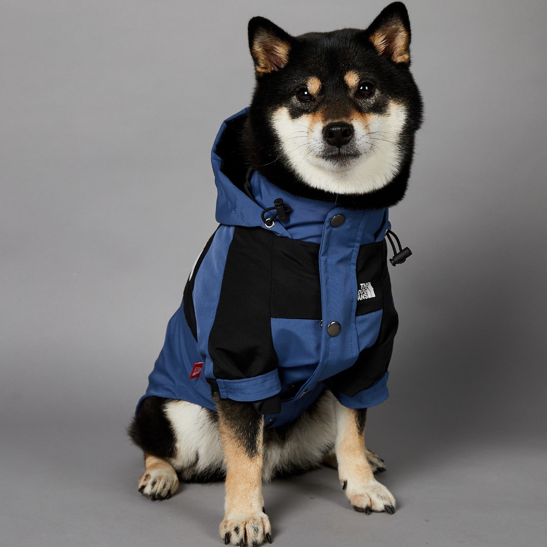 The Dog Fans Regenjacke in Blau