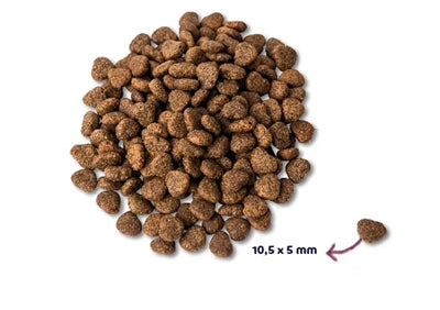 Renske Super Premium Adult Chicken Grain Free