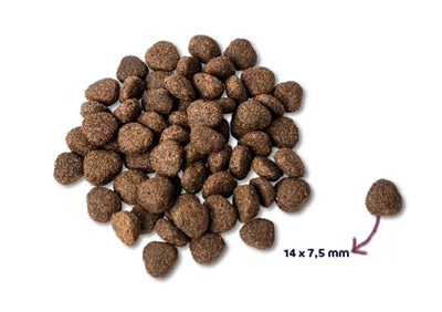 Renske Super Premium Erwachsener Lachs Getreidefrei