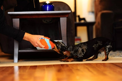 Chuckit Hallenball 11,5X11,5X11,5 CM