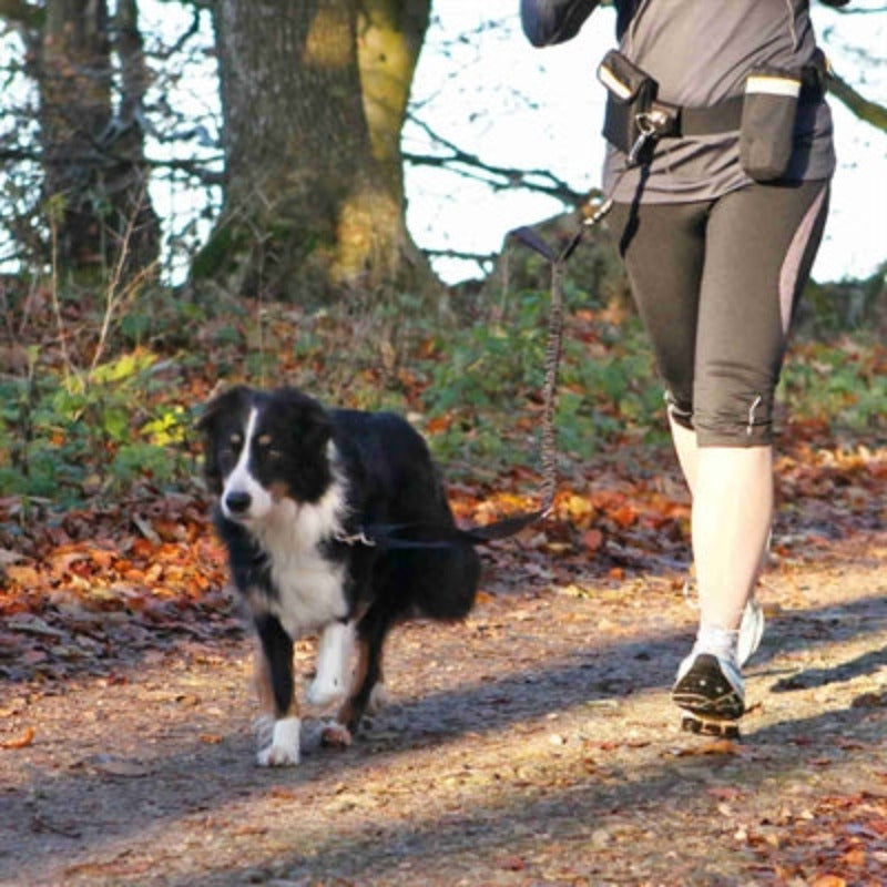 Trixie-Taillengürtel Mit Jogging-Linie Schwarz GÜRTEL 60-120 CM LINIE 100-135 CM