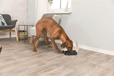 Trixie Automatischer Futterspender Trixie Tx2 2X300 ML