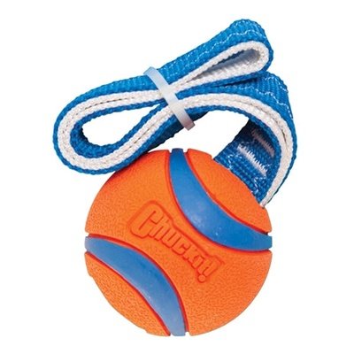 Chuckit Ultra Schlepper