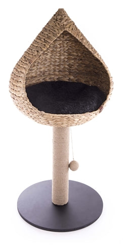 Martin Kratzbaum Vietnam Mit Korb Tropfen Wasserhyazinthe 50 CM