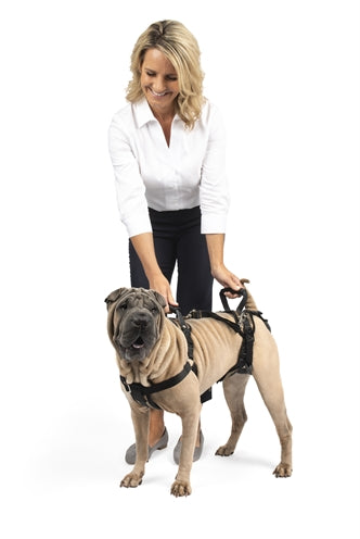 Solvit Petsafe Carelift Vorne Und Hinten MEDIUM