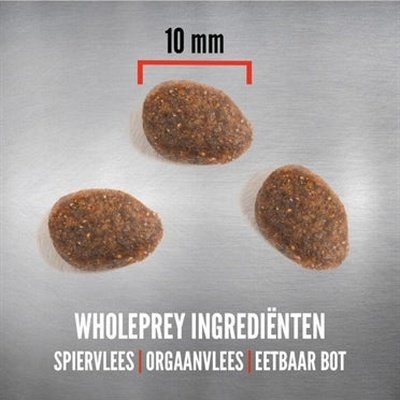 Orijen Ganze Beute Tundra Katze