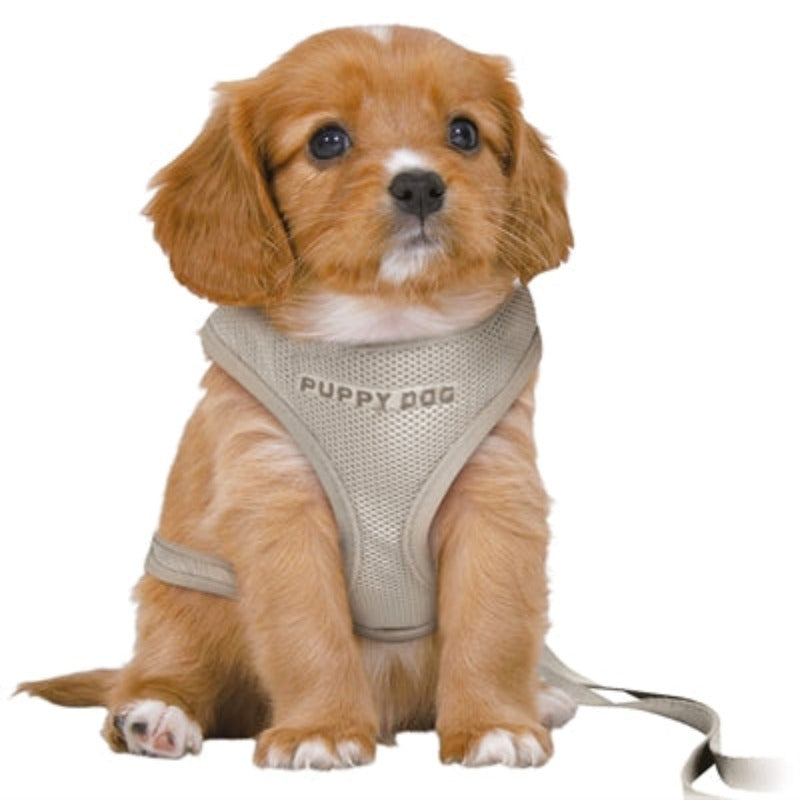 Trixie Hundegeschirr Junior Welpe Softgeschirr Mit Leine Hellgrau 36-50X1 CM / 2 MTR