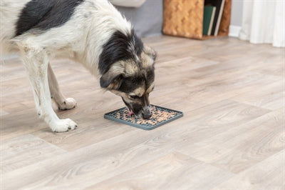 Trixie Lick'n'snack Mat Silikon Dunkelgrau 20X20 CM
