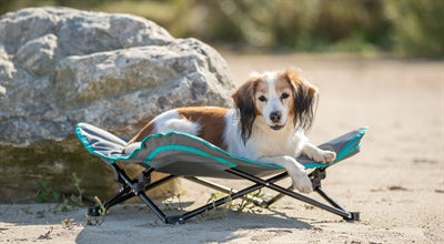 Trixie Für Hund Dunkelgrau / Petrol