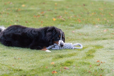 Trixie Flostouw Spule Mit Griff 65 CM