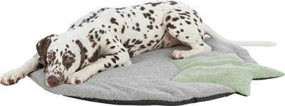 Trixie Welpenliege Trixie Star Grau/Mintgrün 86X80 CM
