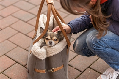 Trixie Dog Bag Rachel Grau / Hellbraun 25X40X30 CM