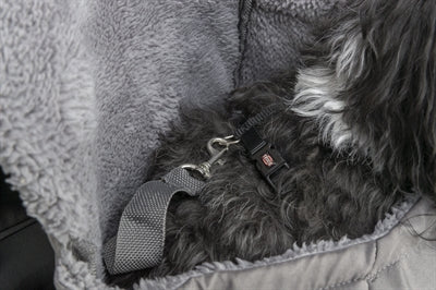 Trixie Hund Tasche Bauch Träger Molly Grau 25X17X38 CM