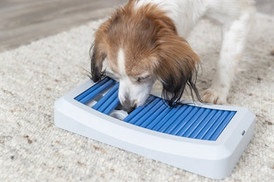 Trixie Brettspiel Mit Stöcken Plastik 35X195 CM