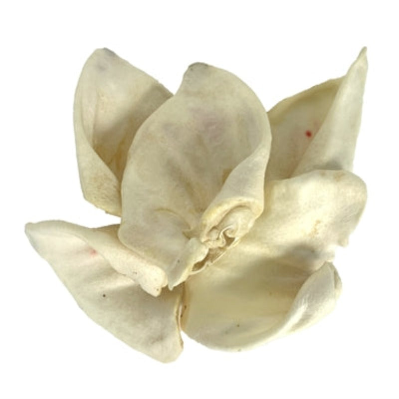 Petsnack Schweinsohren Gebraten