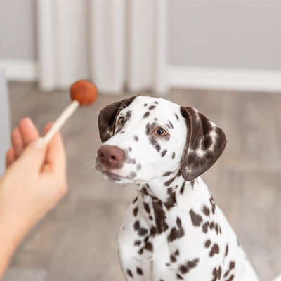 Trixie Premio Lollipop Mit Kabeljau