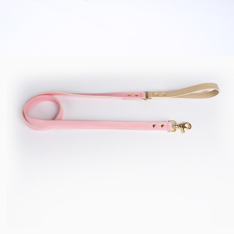 Schönes Leder Gassi-Set