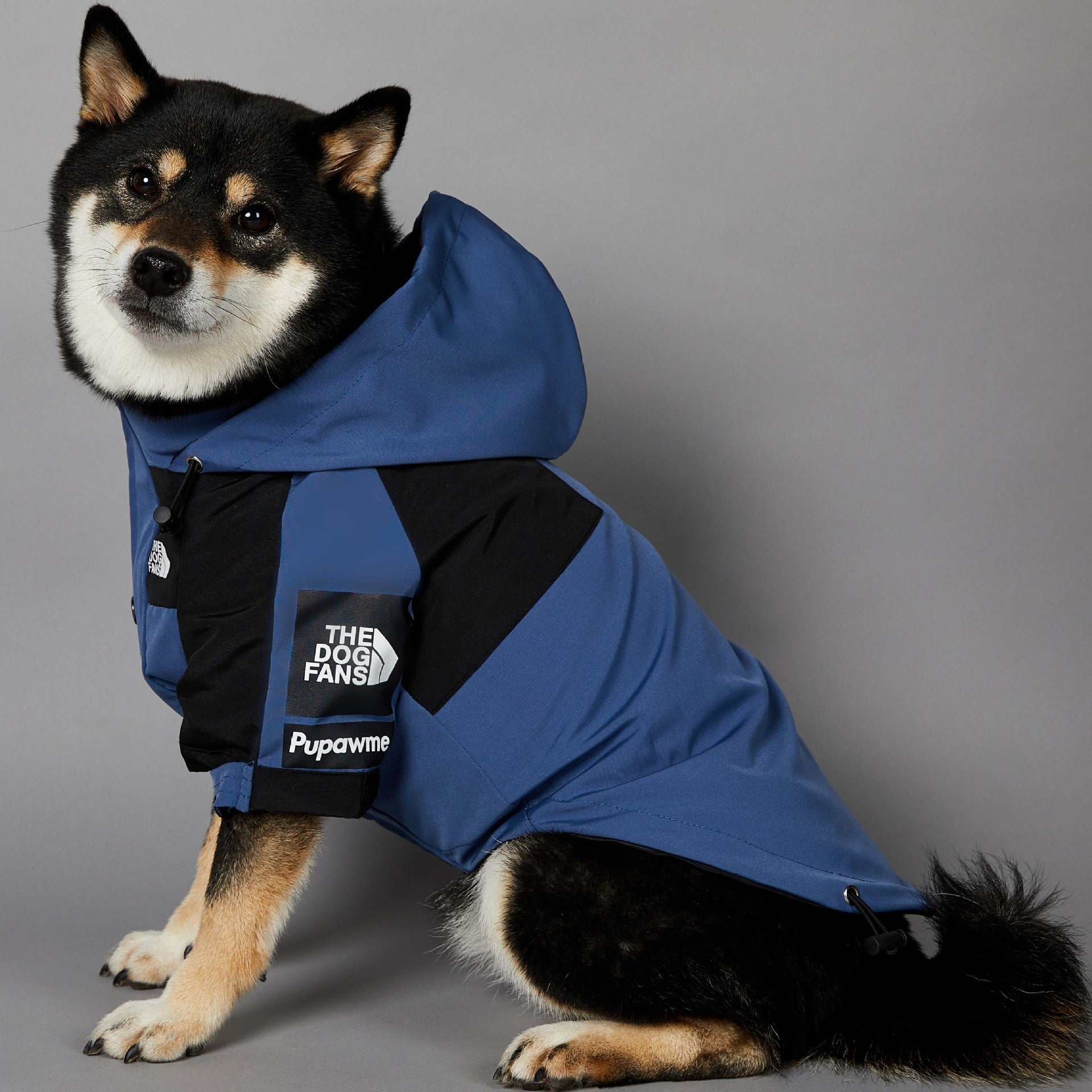 The Dog Fans Regenjacke in Blau