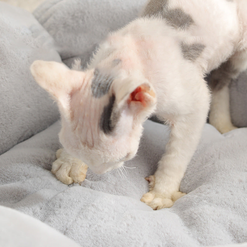 Süßes Haustierblumenbett