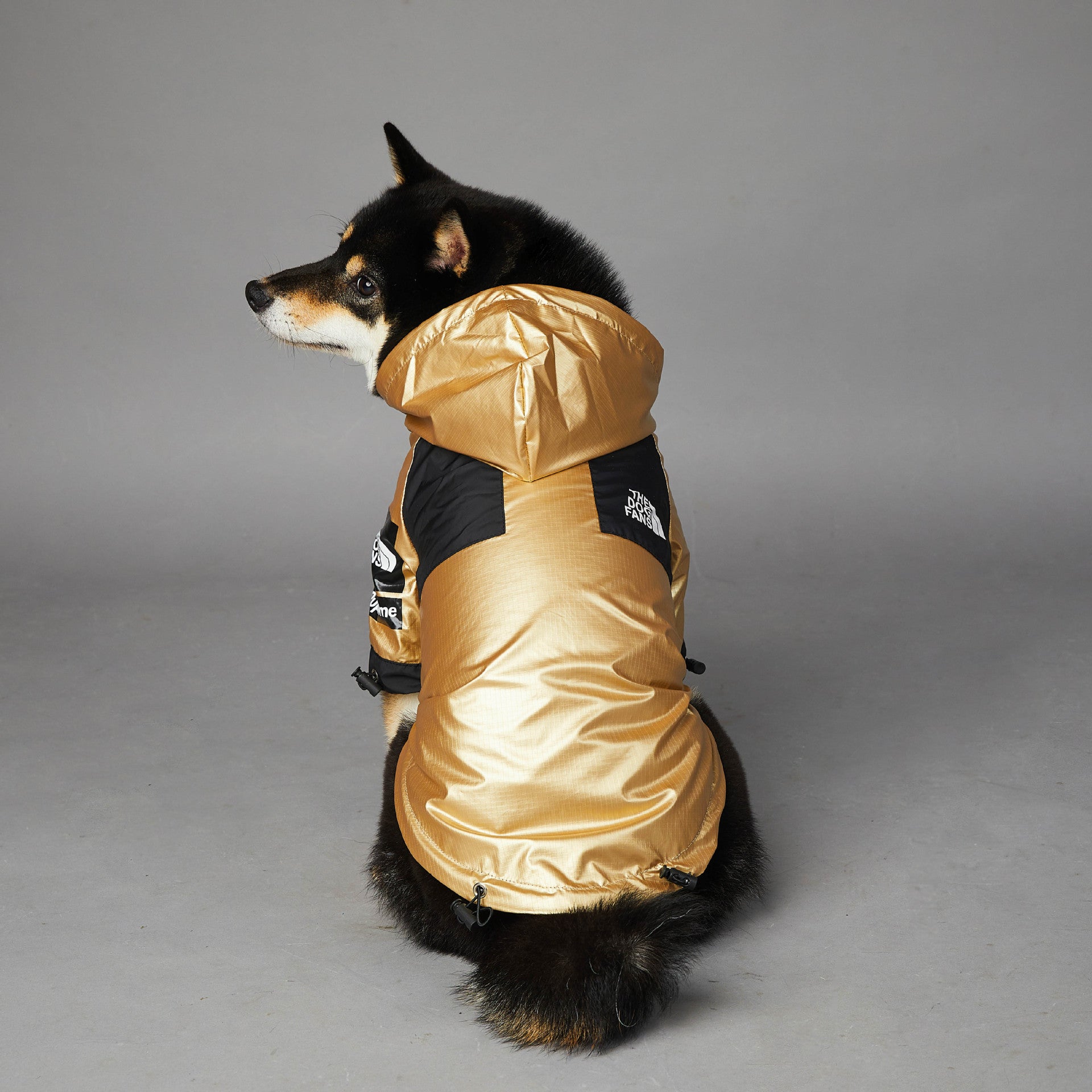 The Dog Fans Regenjacke in Gold
