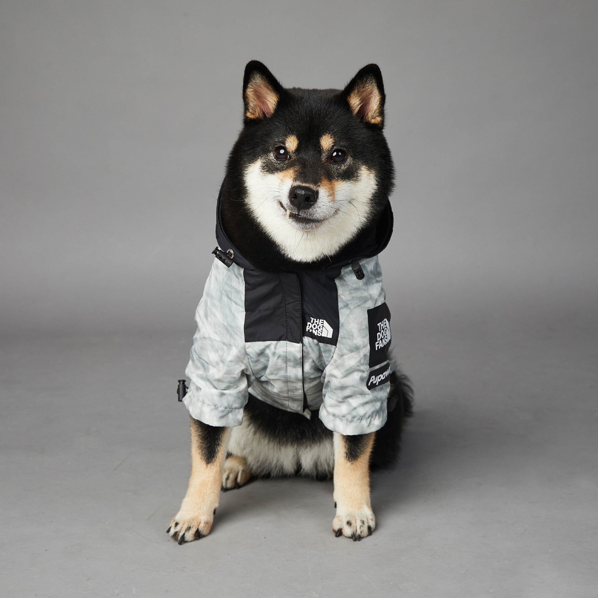 The Dog Fans Regenjacke in Vintage-Papier-Print