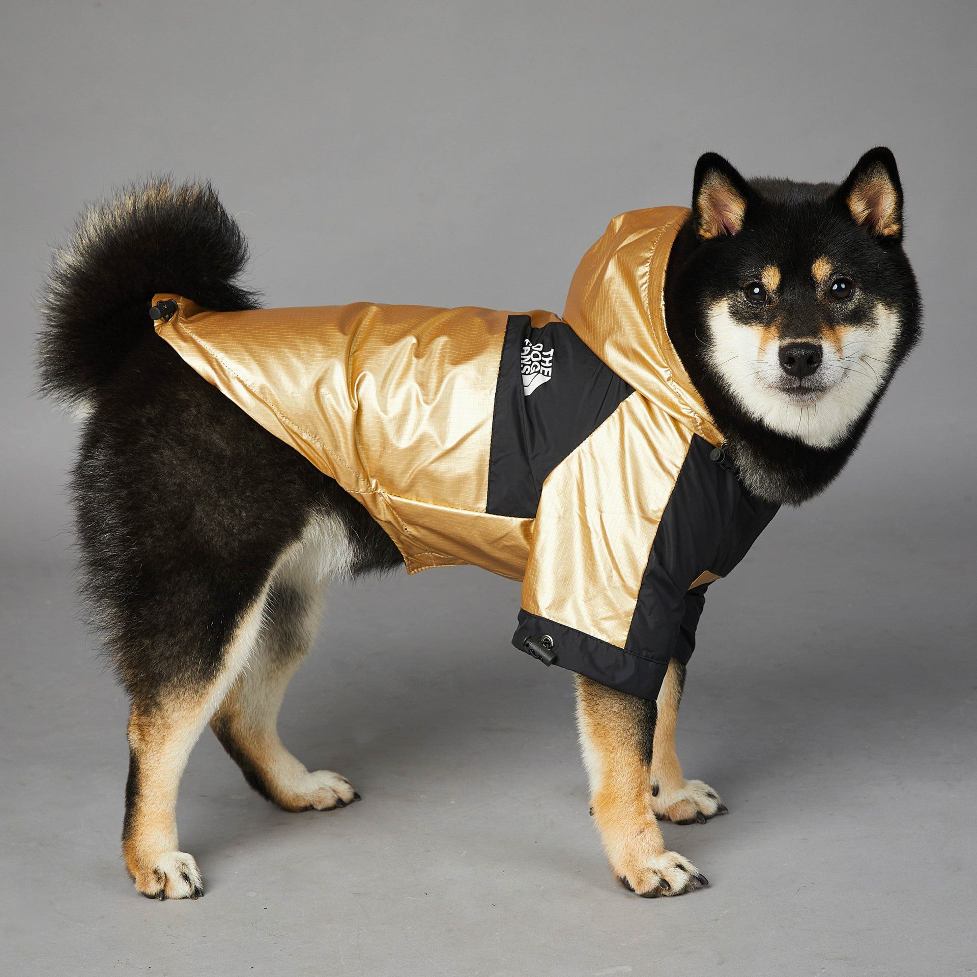 The Dog Fans Regenjacke in Gold