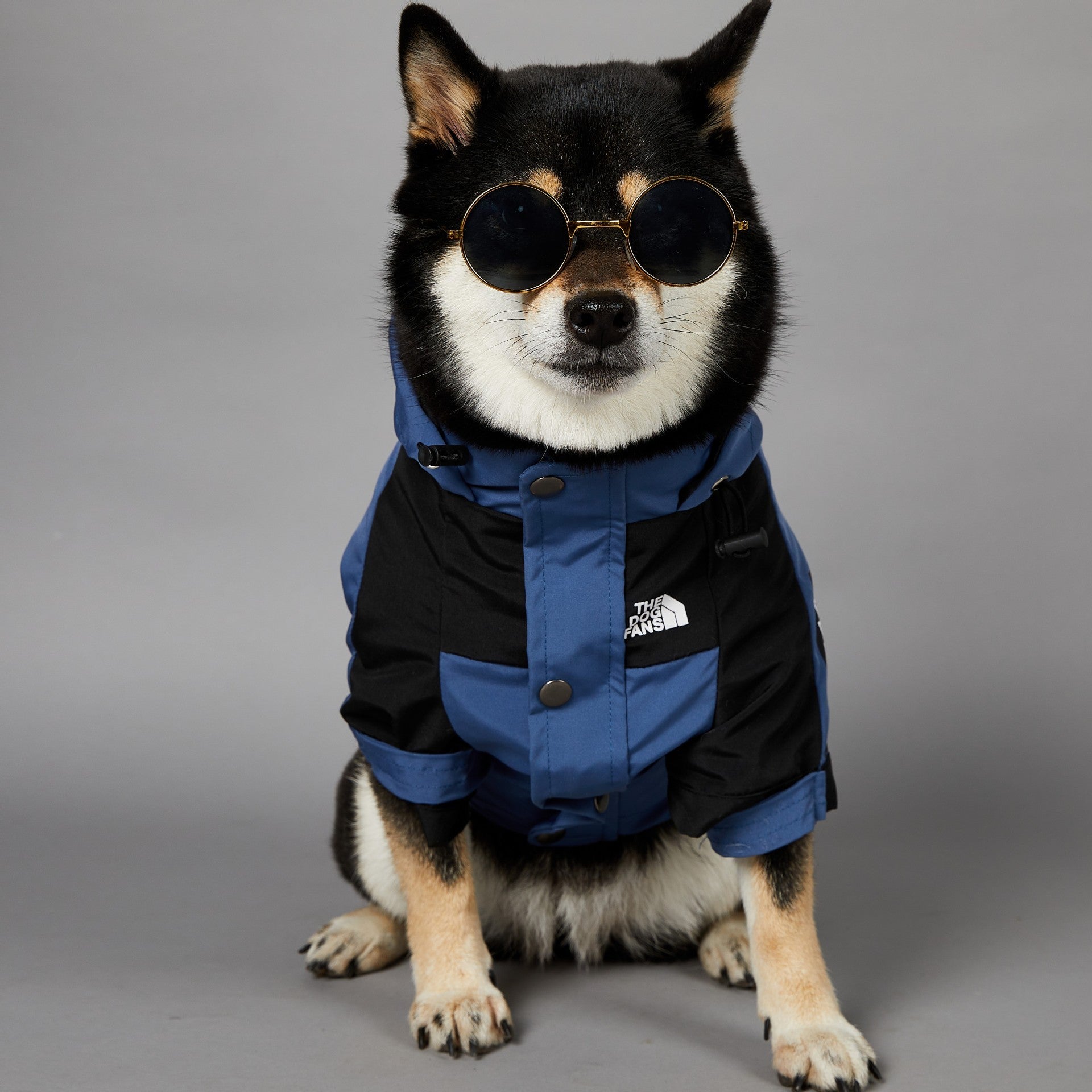 The Dog Fans Regenjacke in Blau