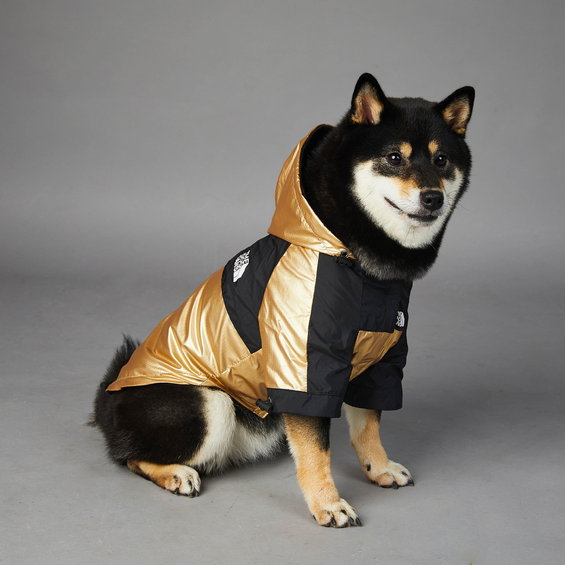 The Dog Fans Regenjacke in Gold