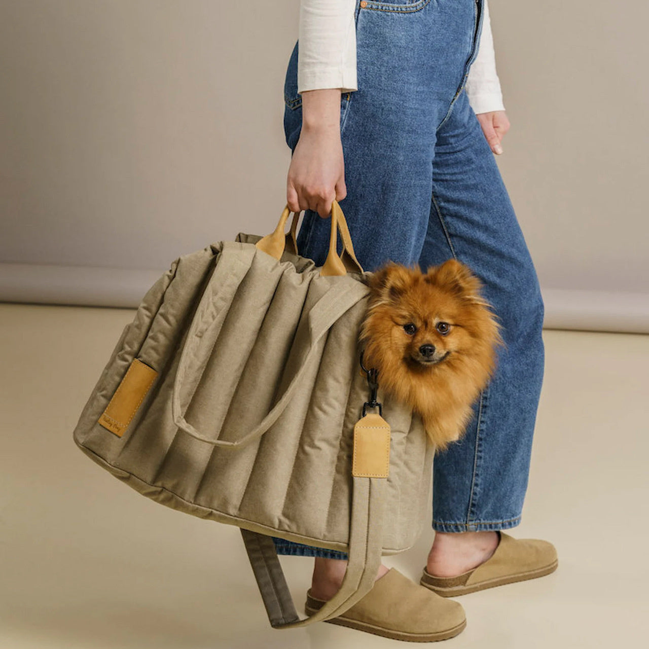 Faltbare Hunde-Reisetasche