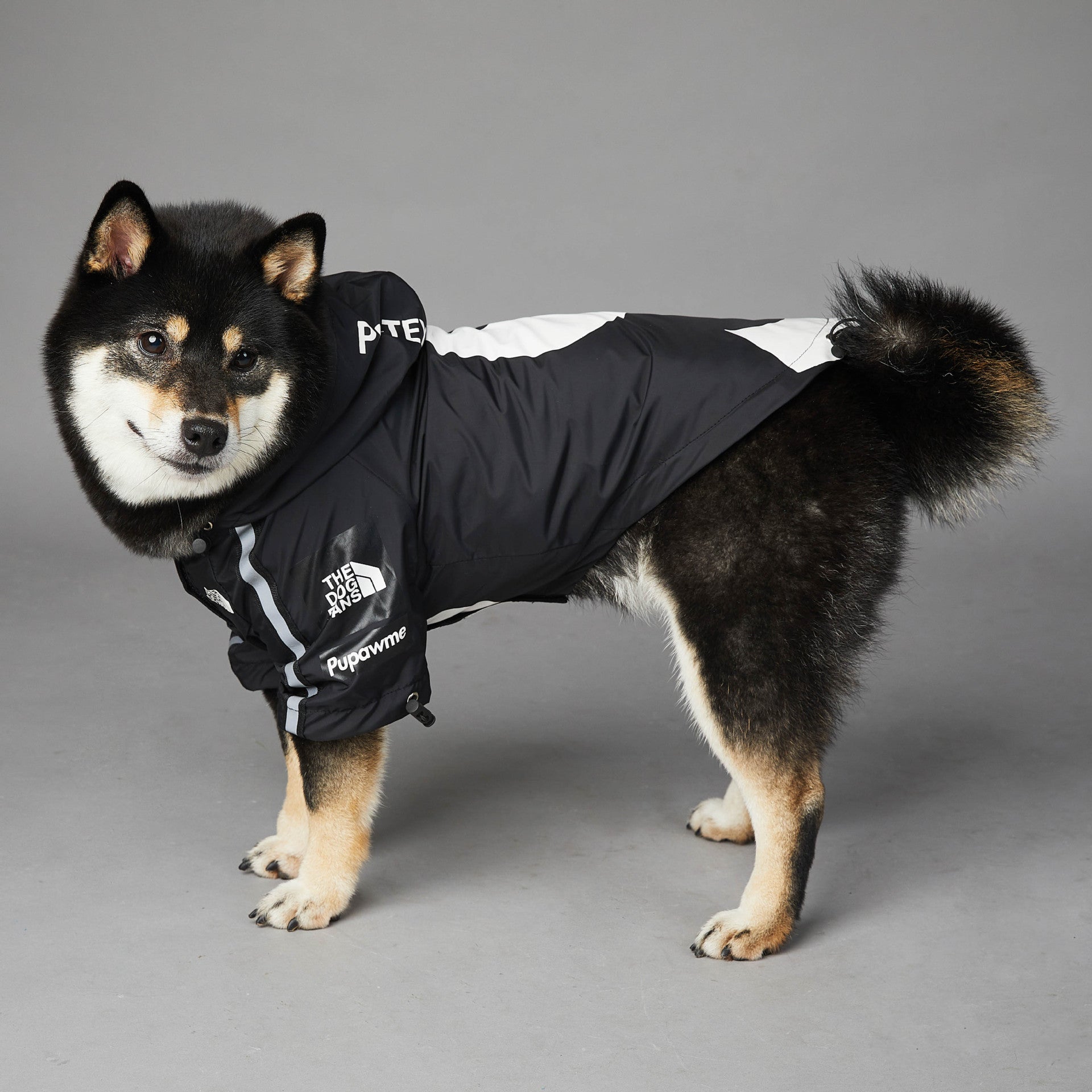 The Dog Fans Regenjacke Big S