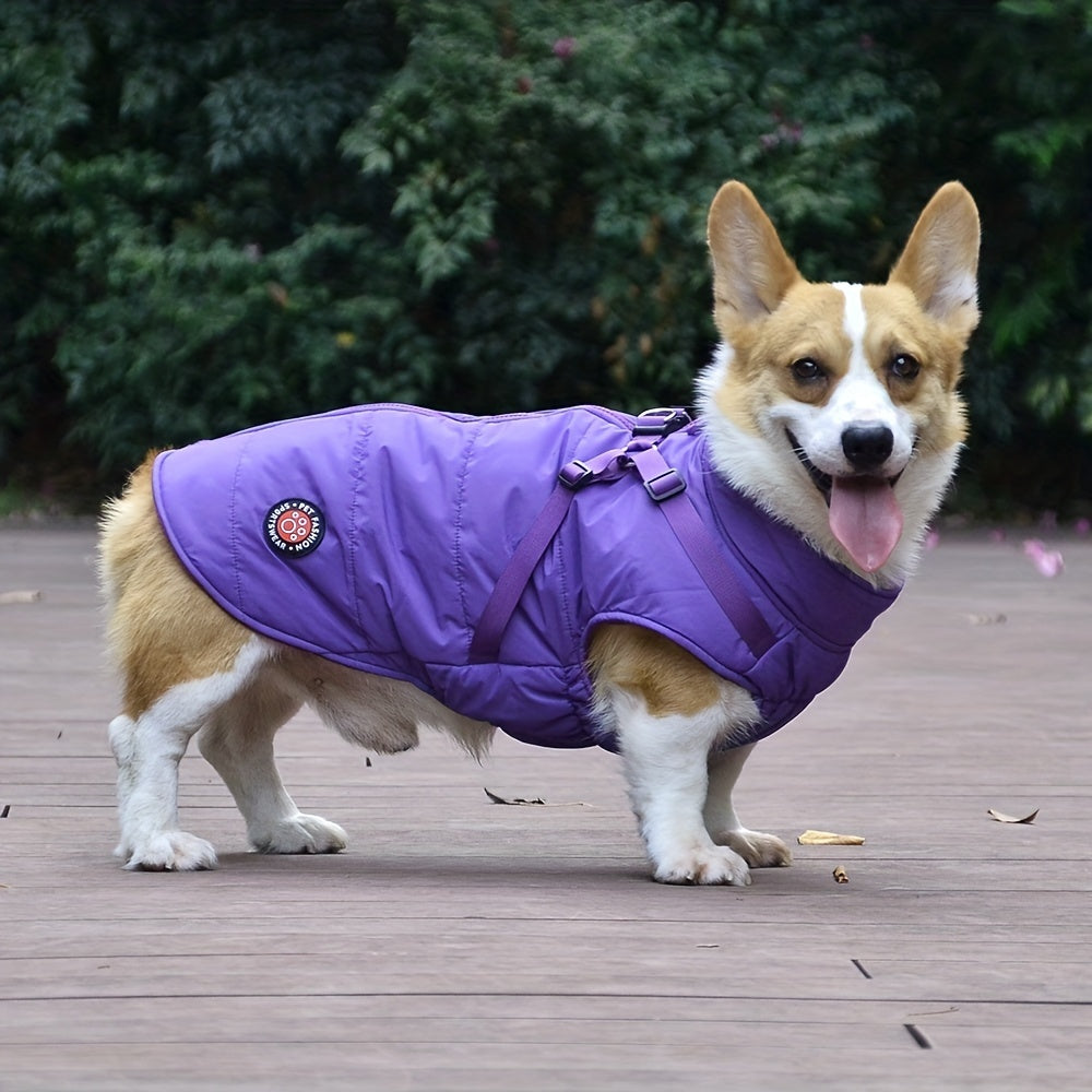 Wasserdichter Winterhundemantel mit verstellbarem Brustgeschirr