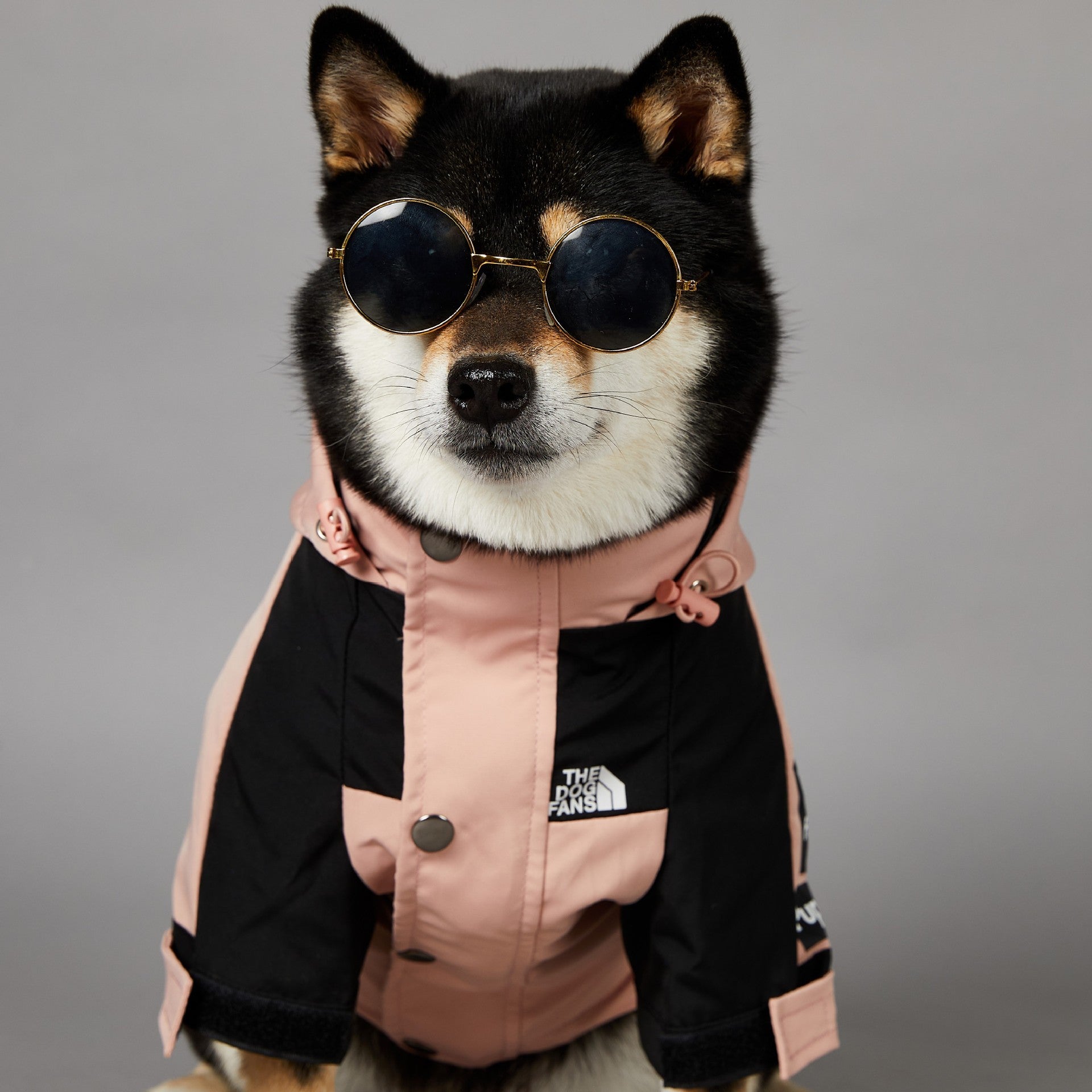 The Dog Fans Regenjacke in Pink