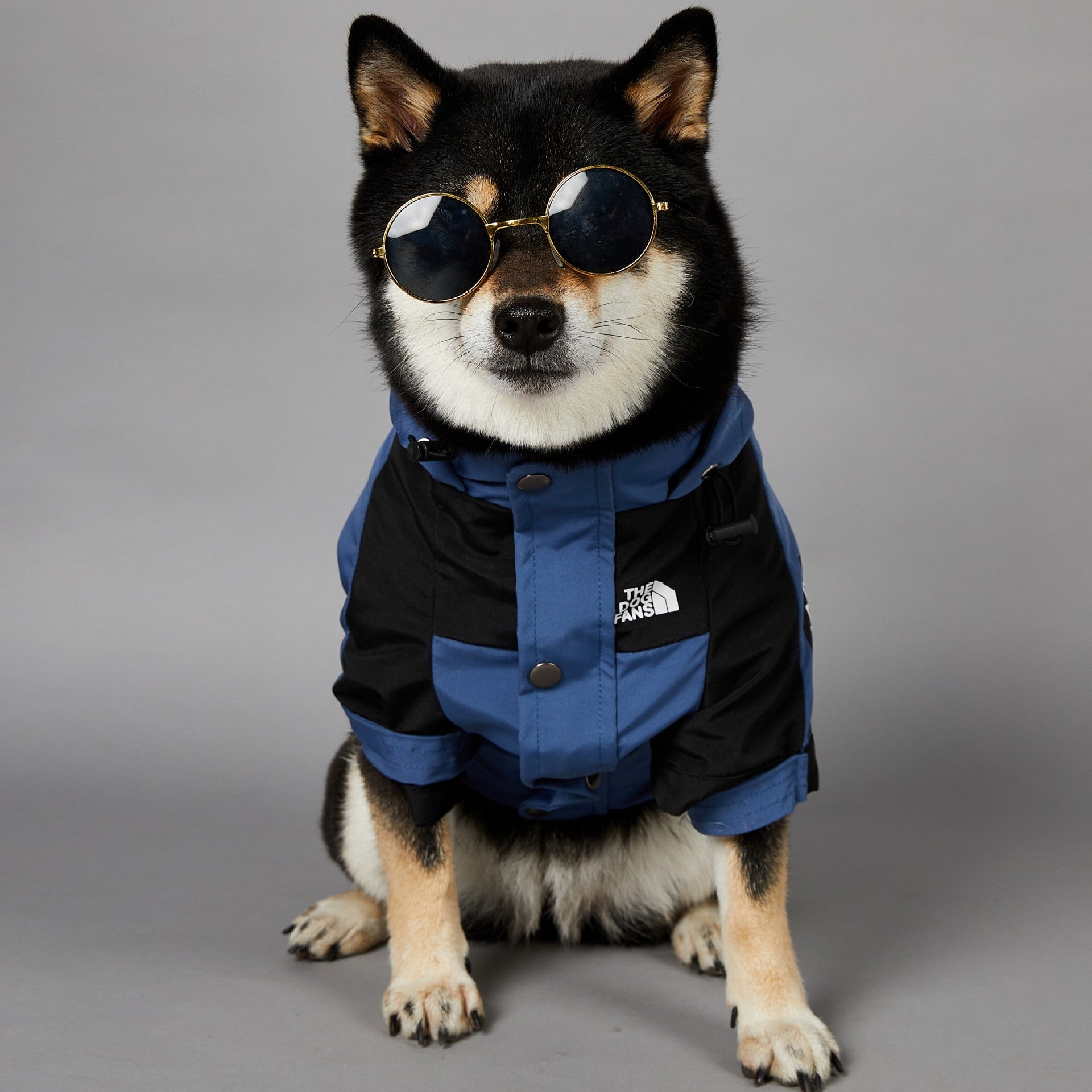 The Dog Fans Regenjacke in Blau