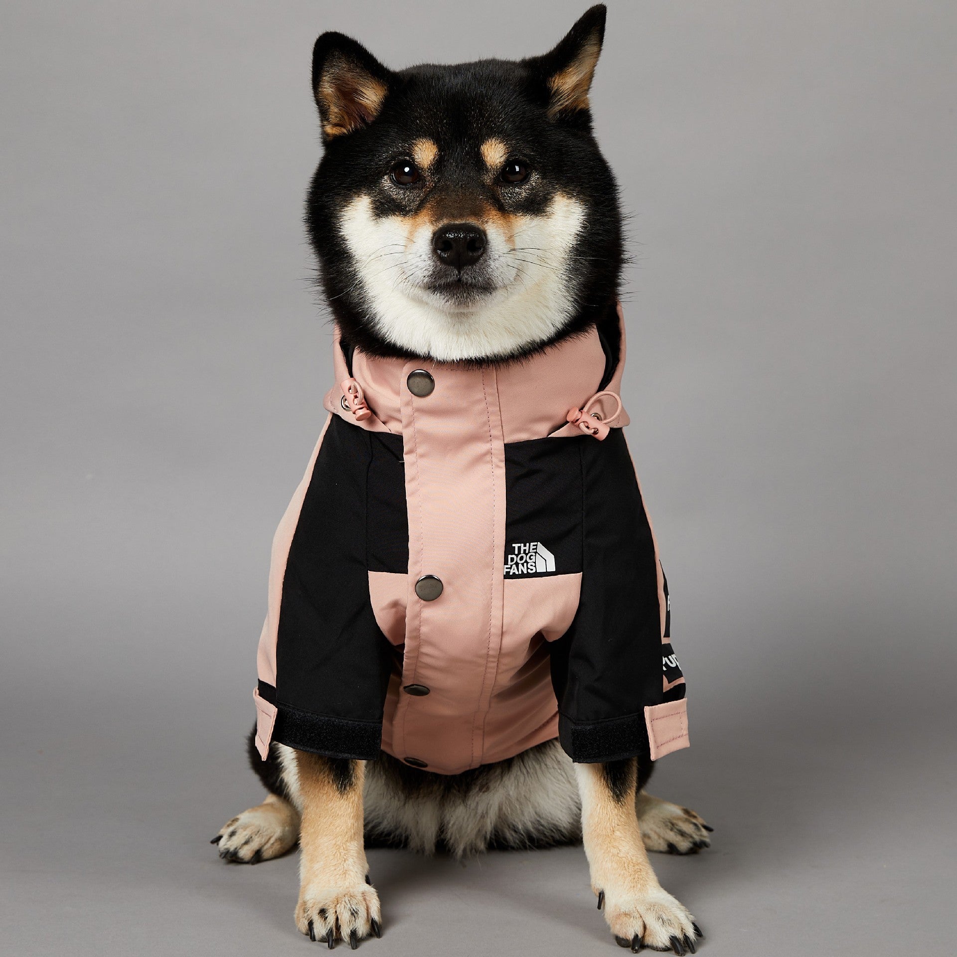The Dog Fans Regenjacke in Pink