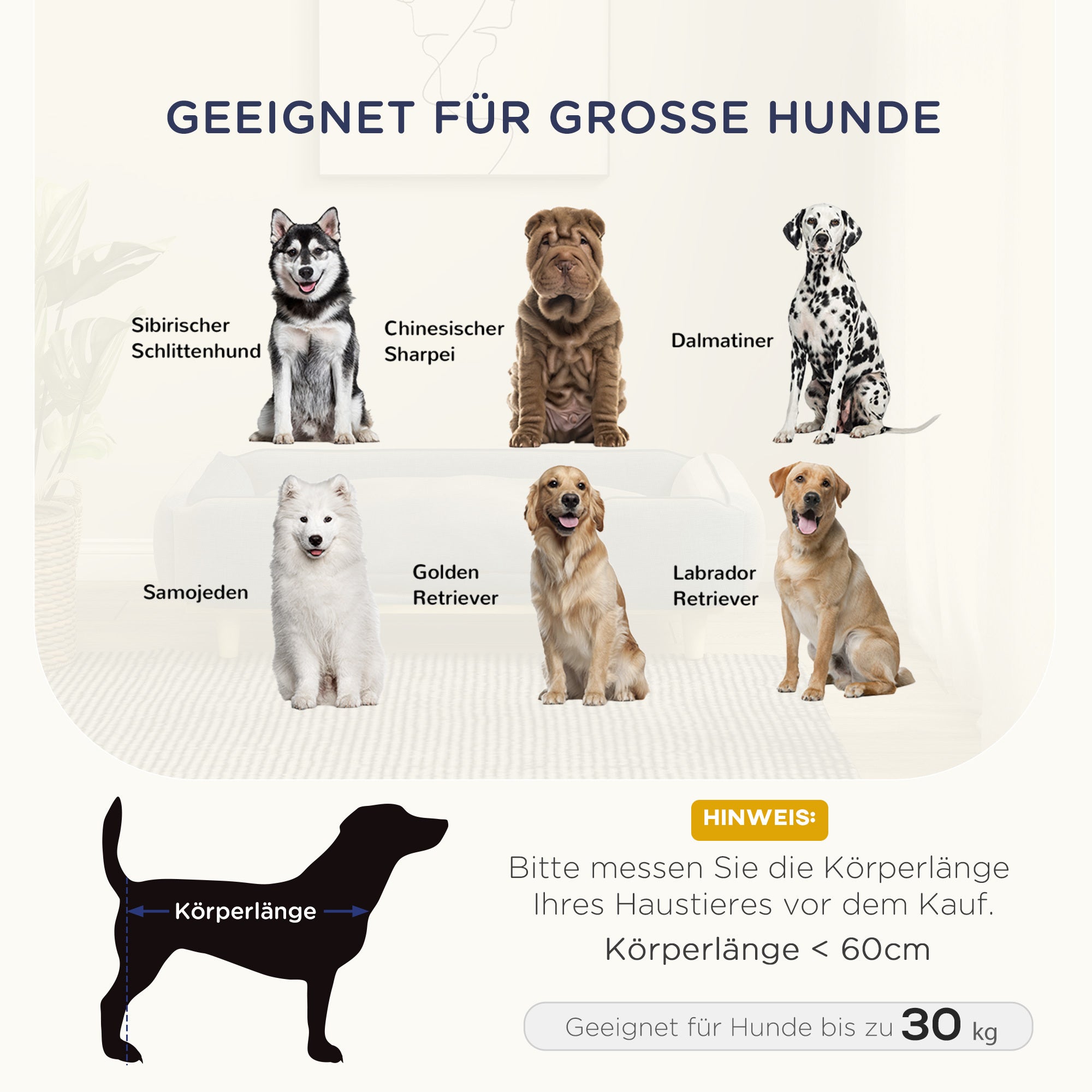 Haustiersofa mit Kissen, Hundebett mit Erhöhtem Design