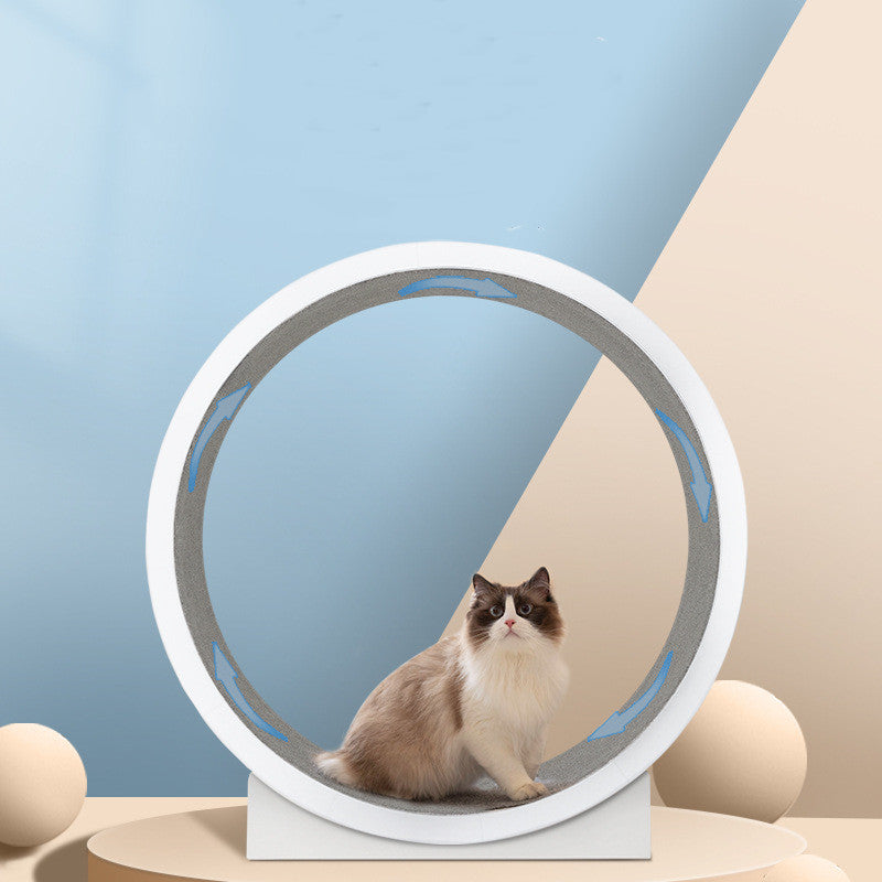 myfurryfriends.de