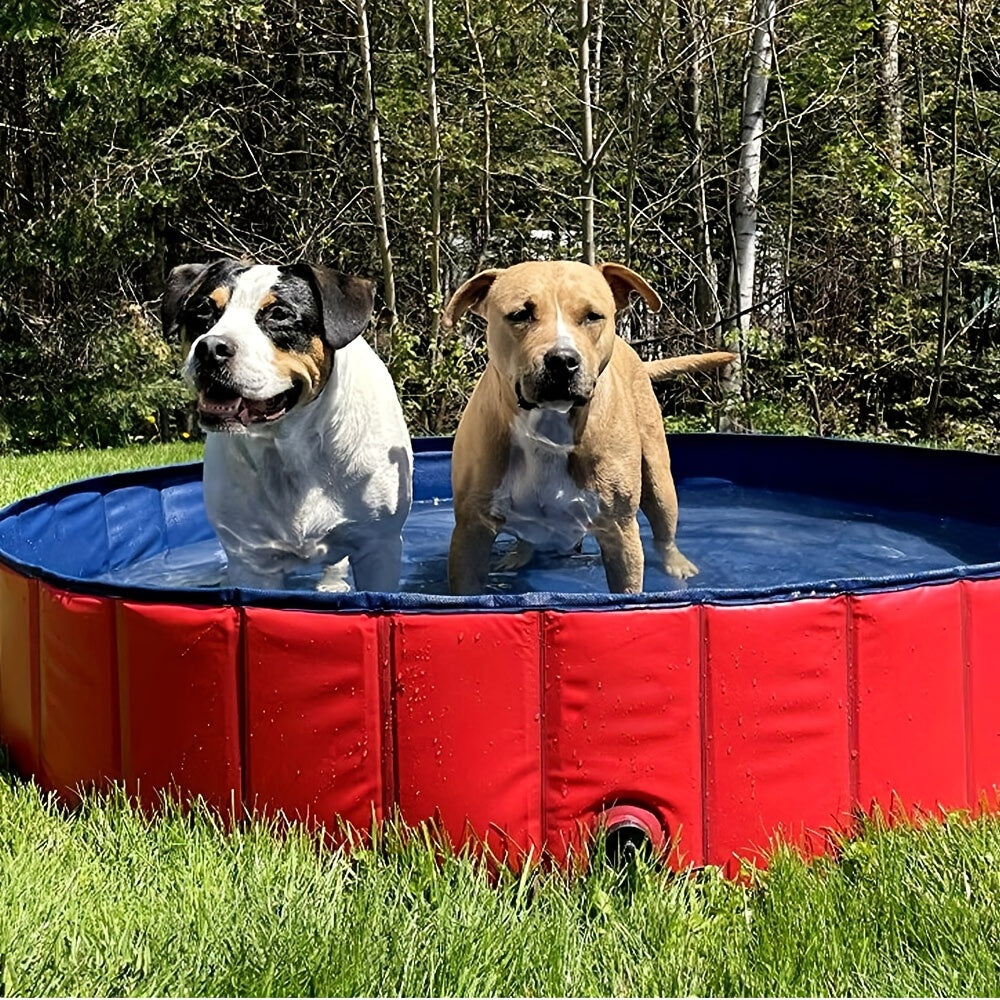 myfurryfriends.de