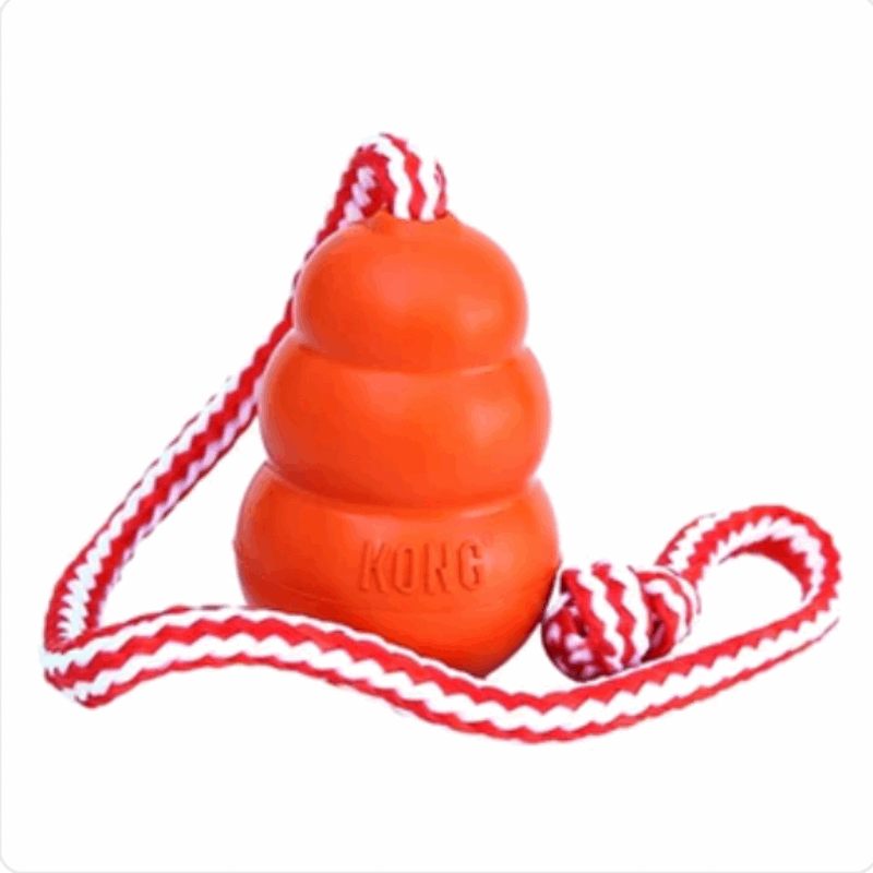 Aqua Orange