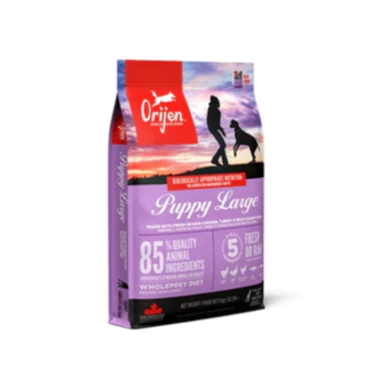 Orijen Ganze Beute Welpen Grosse Rassen 11,4Kg