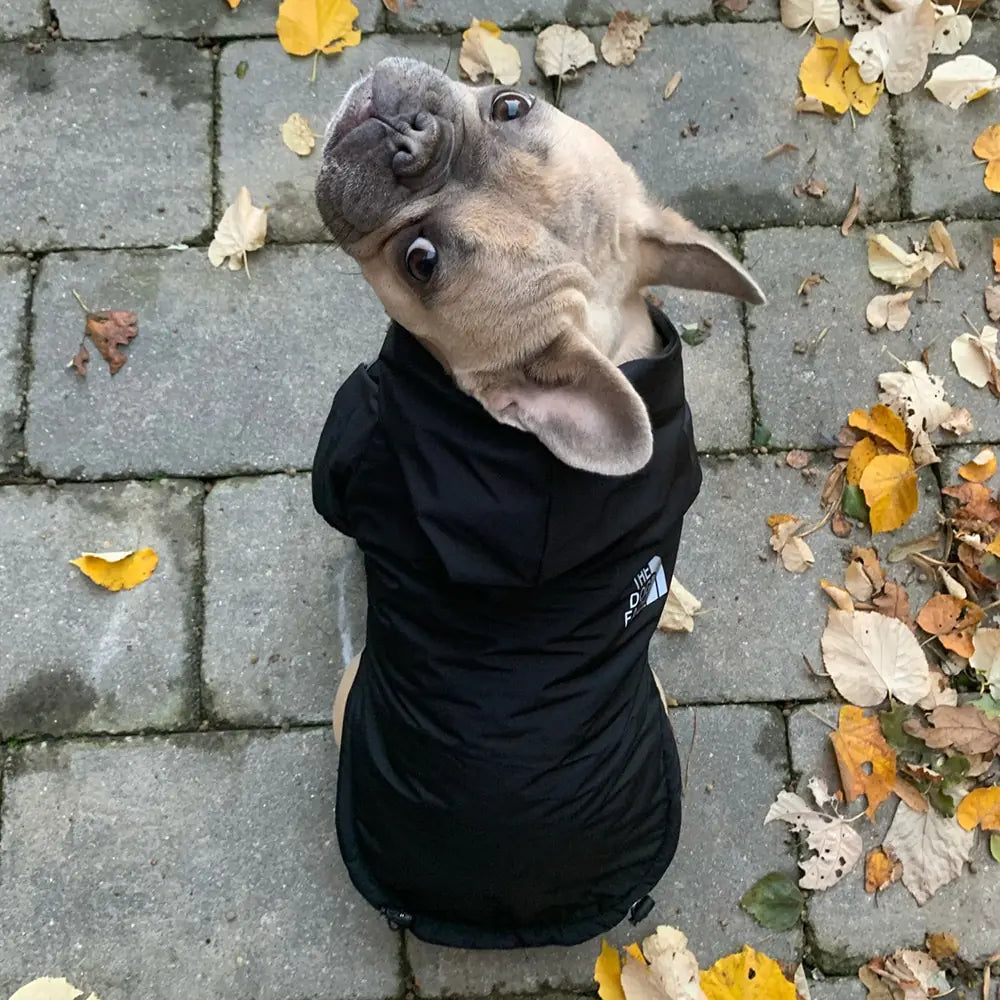 myfurryfriends.de