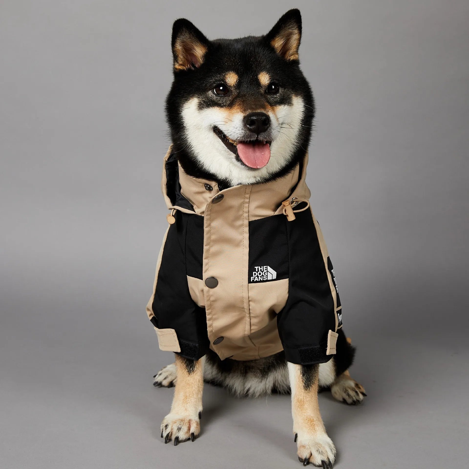 The Dog Fans Regenjacke in Khaki