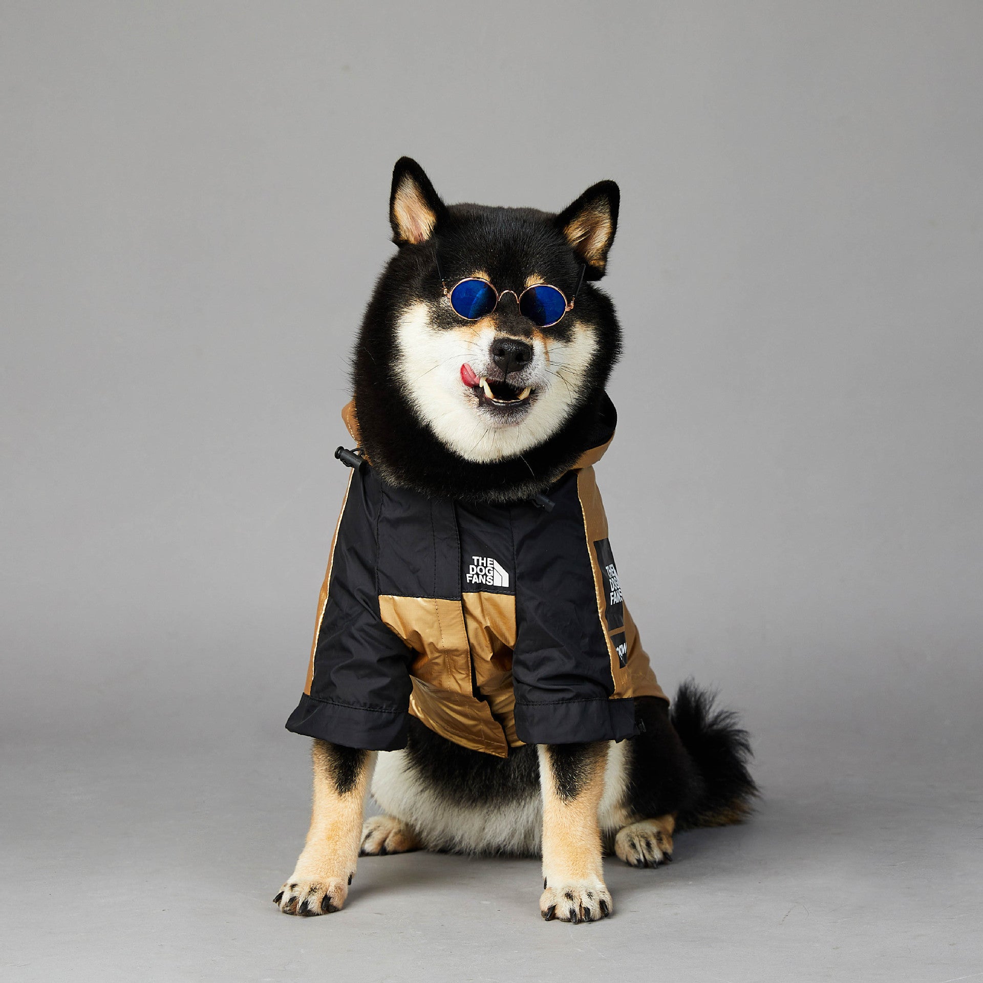 The Dog Fans Regenjacke in Gold