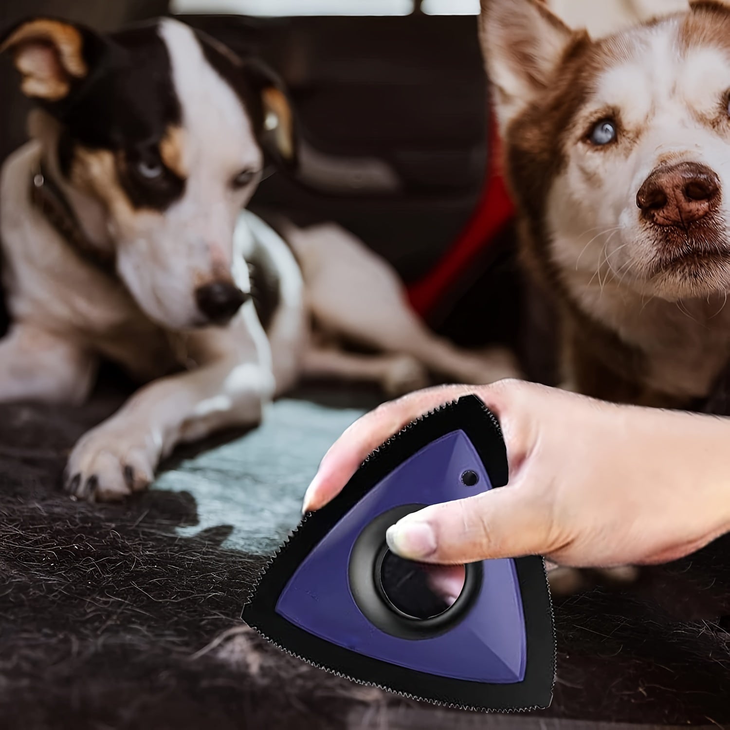 Minibürste zum Entfernen von Tierhaaren