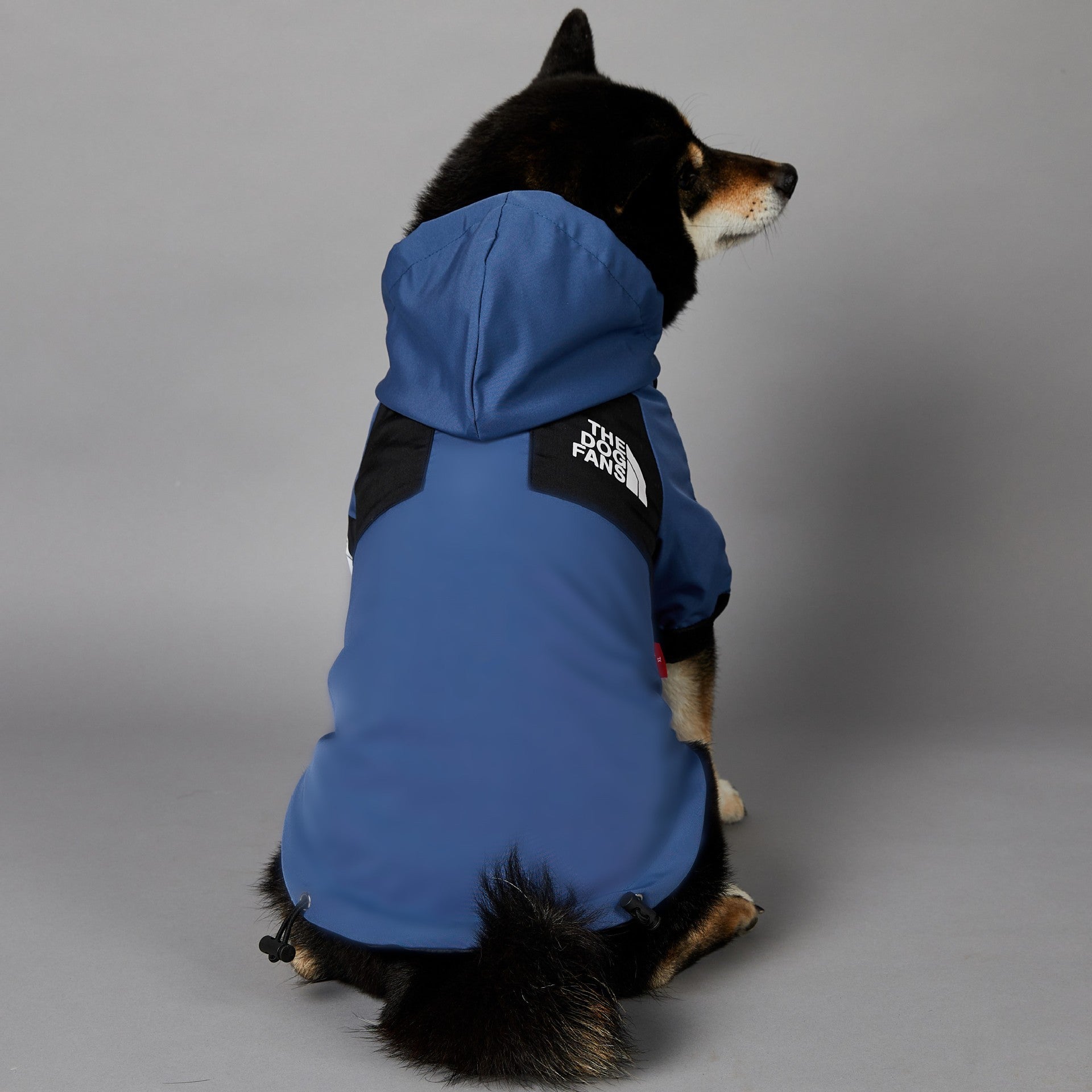 The Dog Fans Regenjacke in Blau