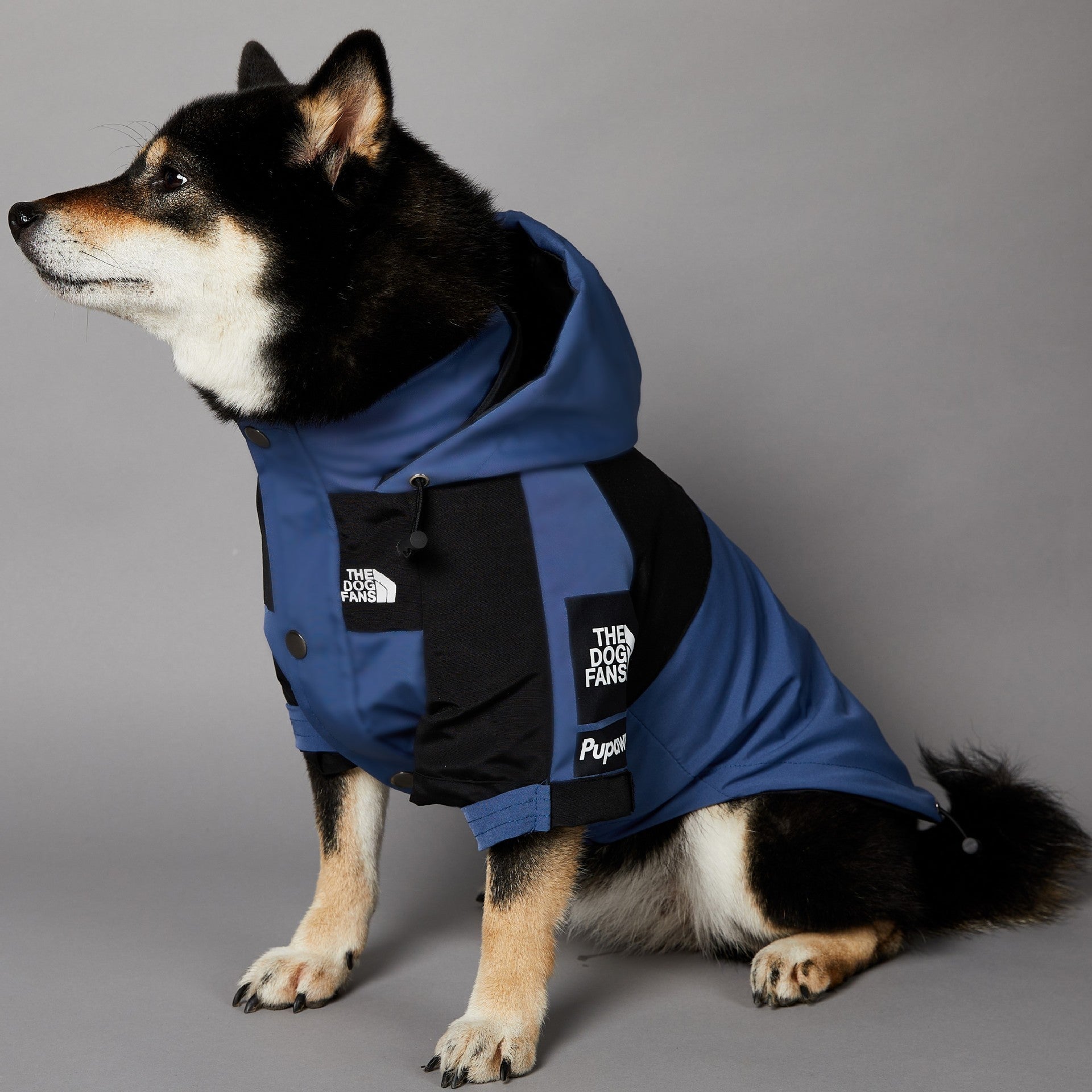 The Dog Fans Regenjacke in Blau