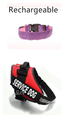 Leoparden LED Halsband