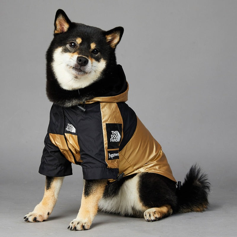 The Dog Fans Regenjacke in Gold